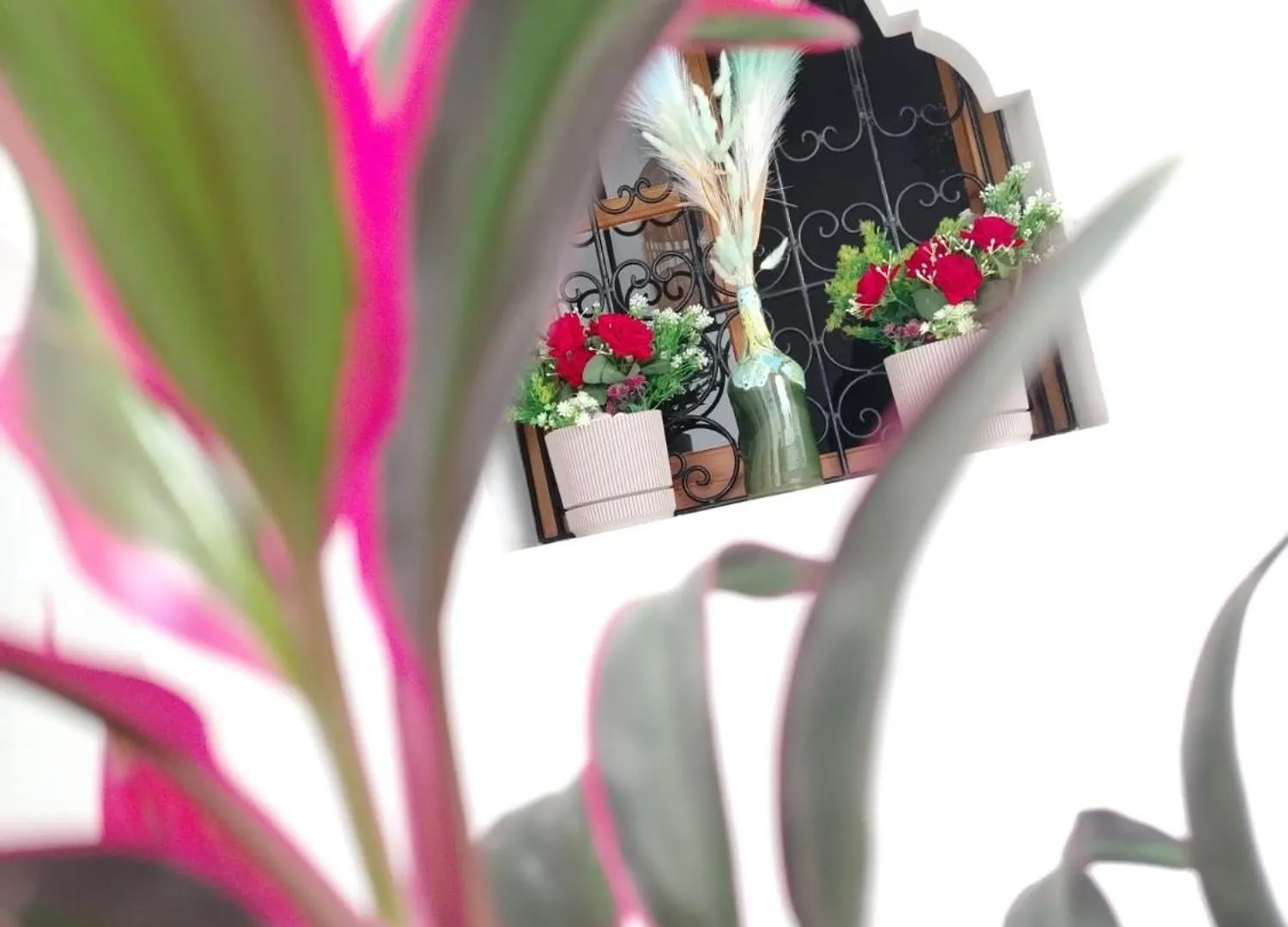Homestay Riad & Spa Sous Le Soleil Chez Jerome & Pamela Suite Essaouira Marrakesh Morocco