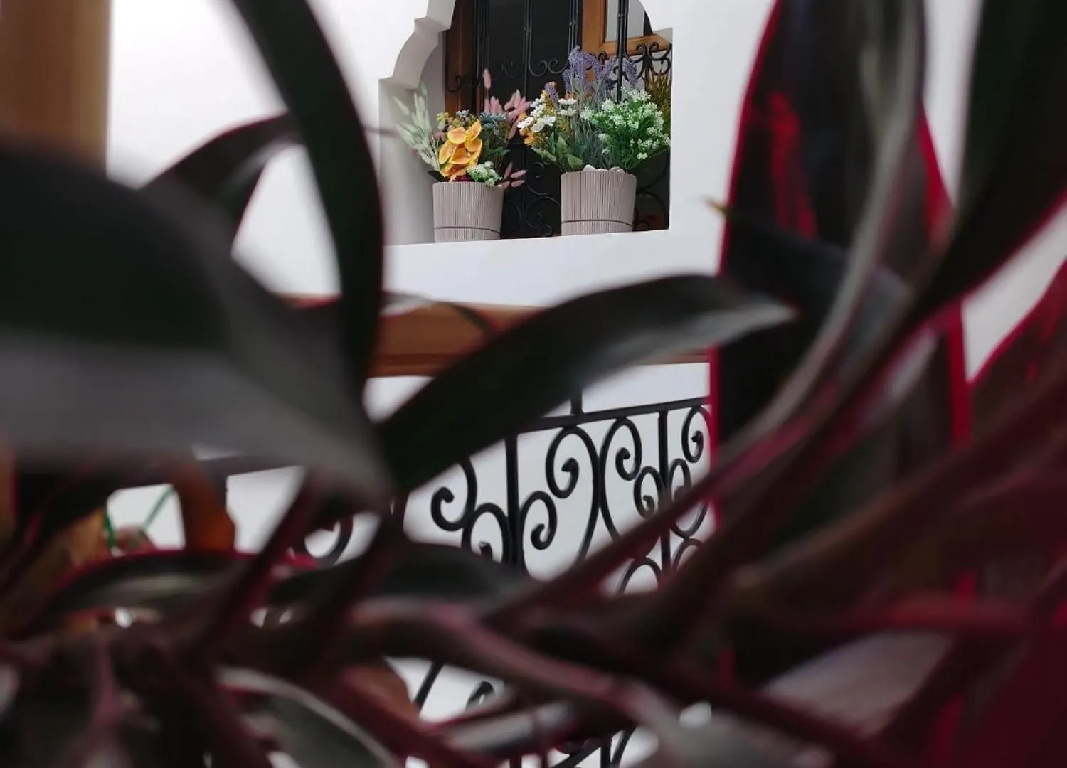 Accommodatie bij particulieren Riad & Spa Sous Le Soleil Chez Jerome & Pamela Suite Essaouira Marrakesh